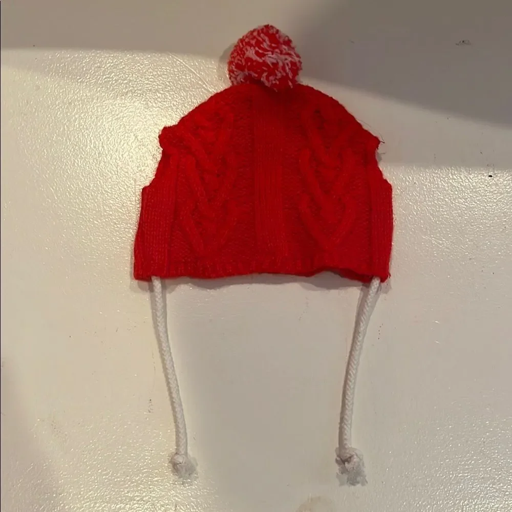 Red Knit Pom-Pom Cat/Small Dog Hat